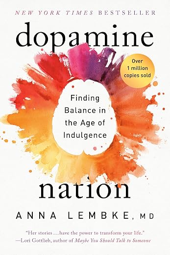 Cover of Dopamine Nation by Anna Lembke